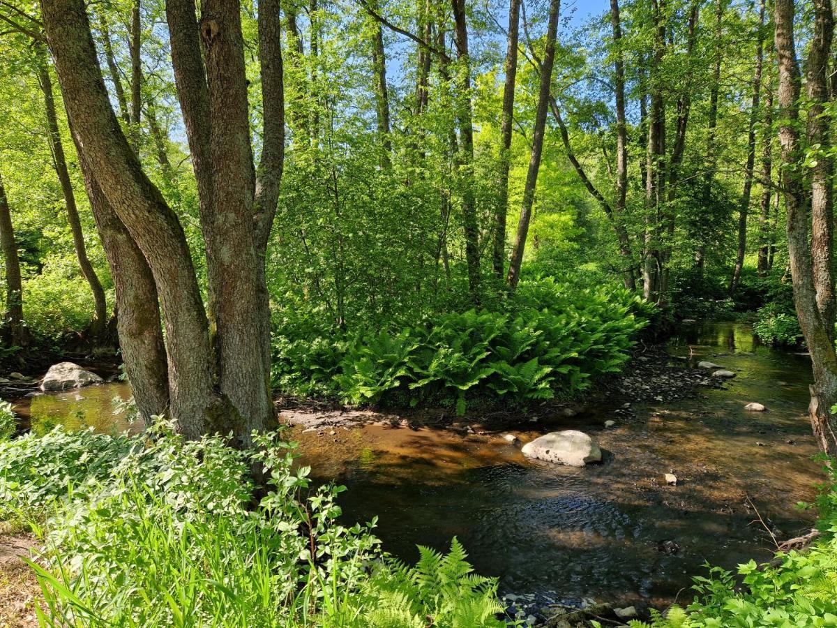 Elulille Maja Mere Laheduses Lahemaa Rupes Andineeme Exteriér fotografie